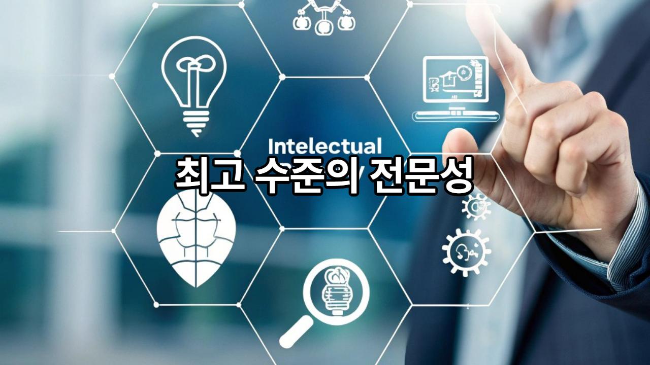 최고 수준의 전문성